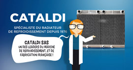 apercu-creation-site-internet-cataldi-sas