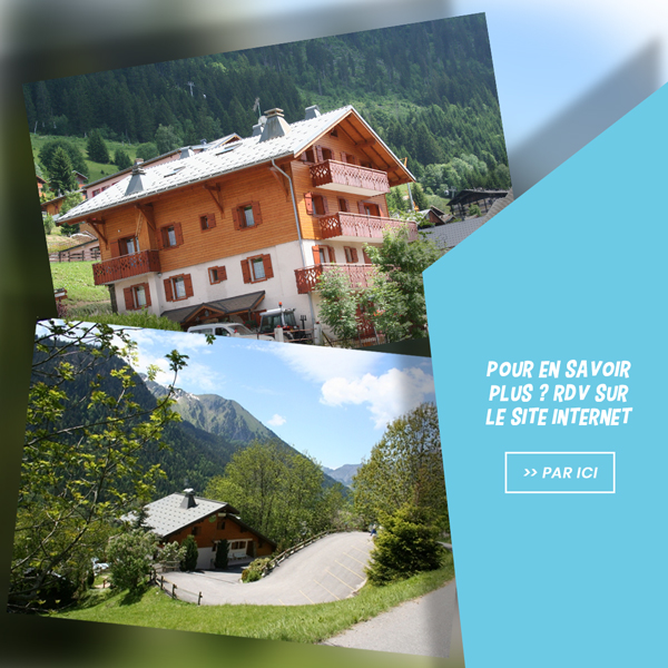 creation-site-internet-chatel-location