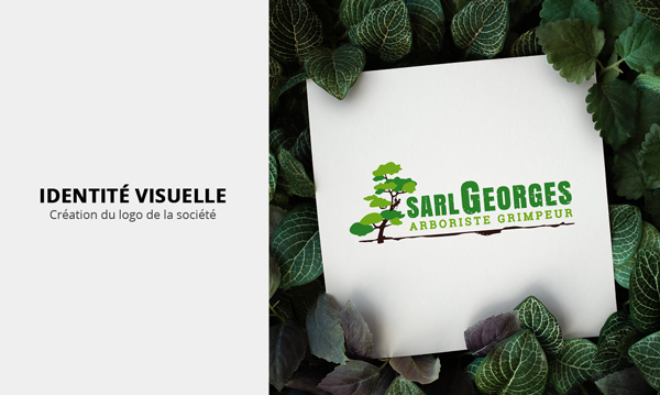 creation site internet sarl GEORGES